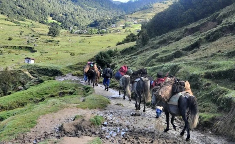 Travel agency in Paro, Bhutan